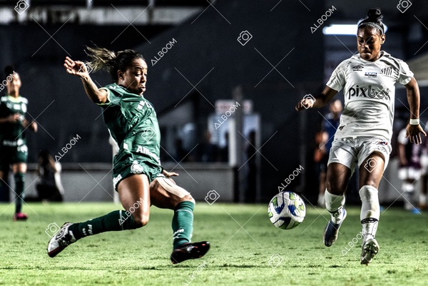 230327_Santos_1x1_Palmeiras)Brasileirão_foto Dennis Calçada 01 (699)-1.jpg