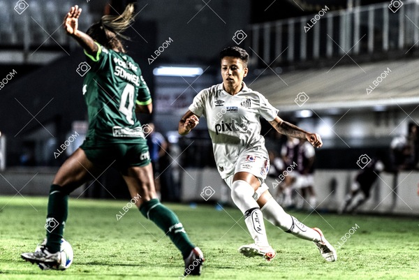 230327_Santos_1x1_Palmeiras)Brasileirão_foto Dennis Calçada 01 (548)-1.jpg