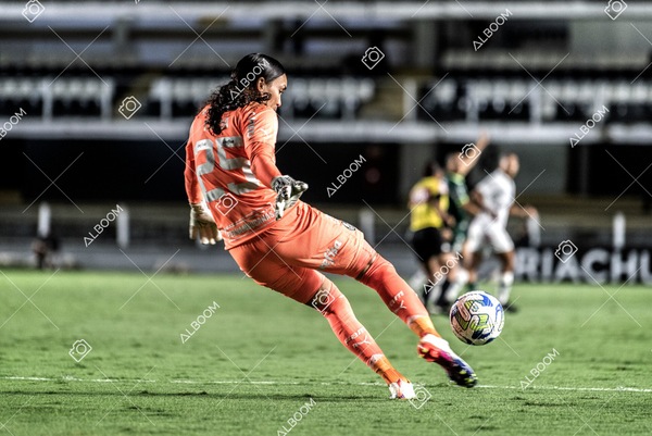 230327_Santos_1x1_Palmeiras)Brasileirão_foto Dennis Calçada 01 (541)-1.jpg