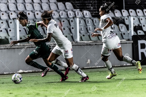 230327_Santos_1x1_Palmeiras)Brasileirão_foto Dennis Calçada 01 (362)-1.jpg