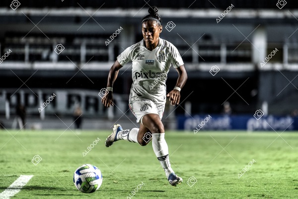 230327_Santos_1x1_Palmeiras)Brasileirão_foto Dennis Calçada 01 (728)-1.jpg