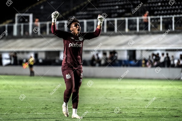 230327_Santos_1x1_Palmeiras)Brasileirão_foto Dennis Calçada 01 (282)-1.jpg