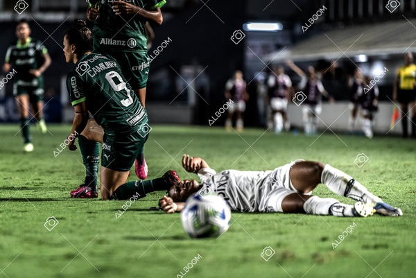 230327_Santos_1x1_Palmeiras)Brasileirão_foto Dennis Calçada 01 (659)-1.jpg