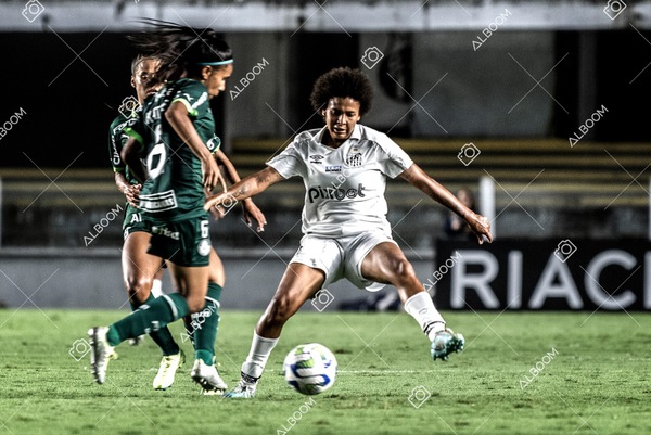 230327_Santos_1x1_Palmeiras)Brasileirão_foto Dennis Calçada 01 (716)-1.jpg