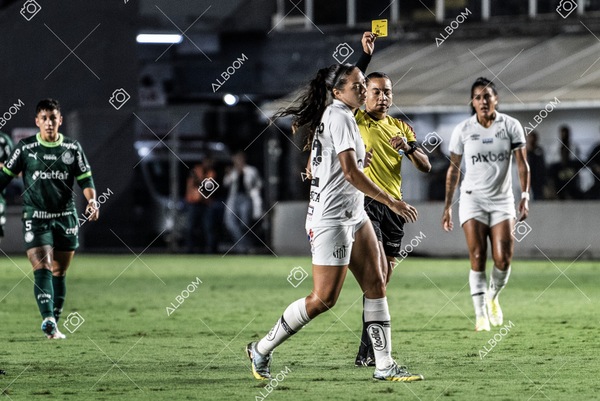 230327_Santos_1x1_Palmeiras)Brasileirão_foto Dennis Calçada 01 (391)-1.jpg