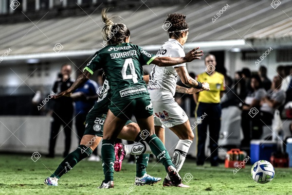 230327_Santos_1x1_Palmeiras)Brasileirão_foto Dennis Calçada 01 (593)-1.jpg