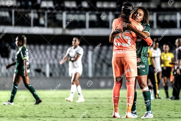 230327_Santos_1x1_Palmeiras)Brasileirão_foto Dennis Calçada 01 (746)-1.jpg