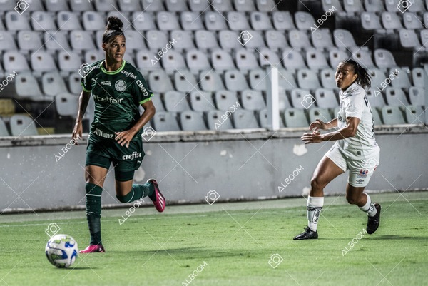 230327_Santos_1x1_Palmeiras)Brasileirão_foto Dennis Calçada 01 (252)-1.jpg