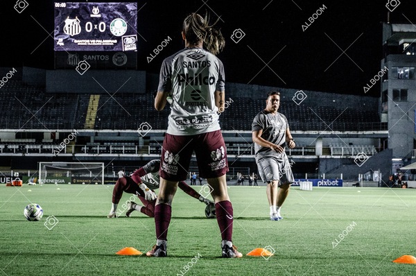 230327_Santos_1x1_Palmeiras)Brasileirão_foto Dennis Calçada 01 (791)-1.jpg