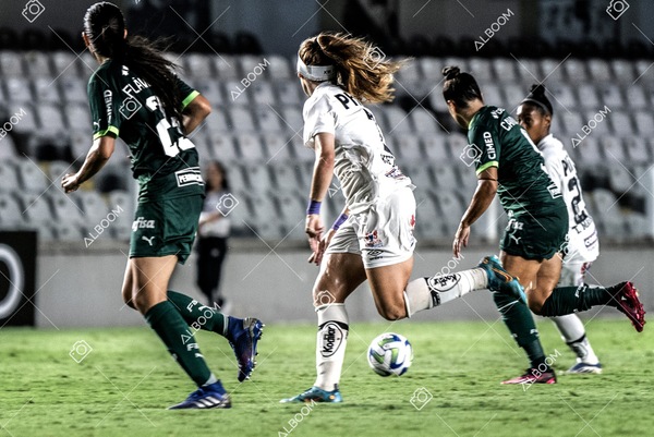 230327_Santos_1x1_Palmeiras)Brasileirão_foto Dennis Calçada 01 (584)-1.jpg