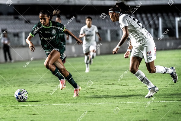 230327_Santos_1x1_Palmeiras)Brasileirão_foto Dennis Calçada 01 (246)-1.jpg