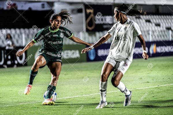230327_Santos_1x1_Palmeiras)Brasileirão_foto Dennis Calçada 01 (249)-1.jpg