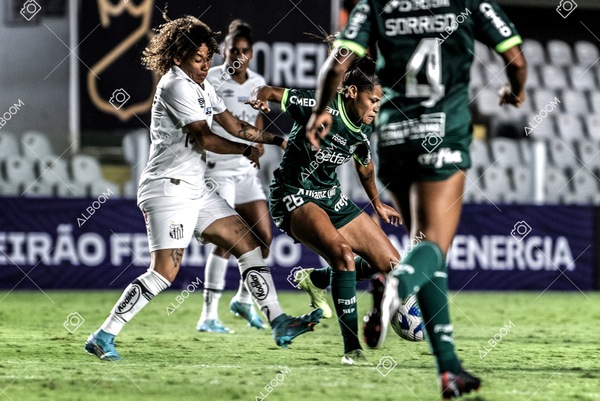 230327_Santos_1x1_Palmeiras)Brasileirão_foto Dennis Calçada 01 (712)-1.jpg