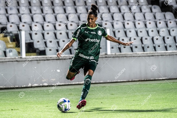 230327_Santos_1x1_Palmeiras)Brasileirão_foto Dennis Calçada 01 (254)-1.jpg