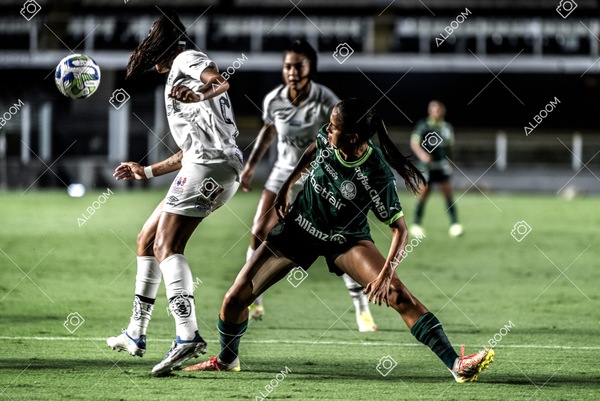 230327_Santos_1x1_Palmeiras)Brasileirão_foto Dennis Calçada 01 (292)-1.jpg