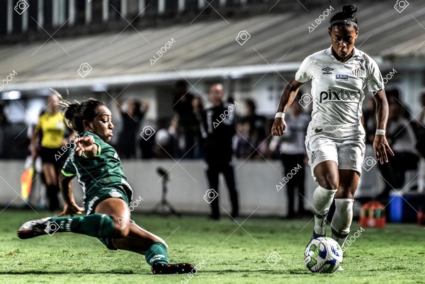 230327_Santos_1x1_Palmeiras)Brasileirão_foto Dennis Calçada 01 (612)-1.jpg