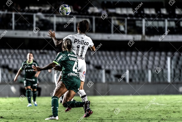 230327_Santos_1x1_Palmeiras)Brasileirão_foto Dennis Calçada 01 (514)-1.jpg