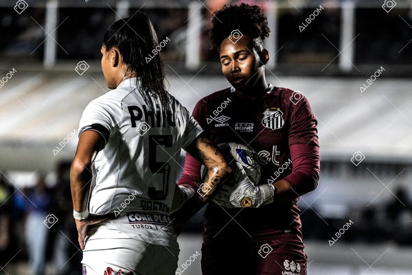 230327_Santos_1x1_Palmeiras)Brasileirão_foto Dennis Calçada 01 (325)-1.jpg