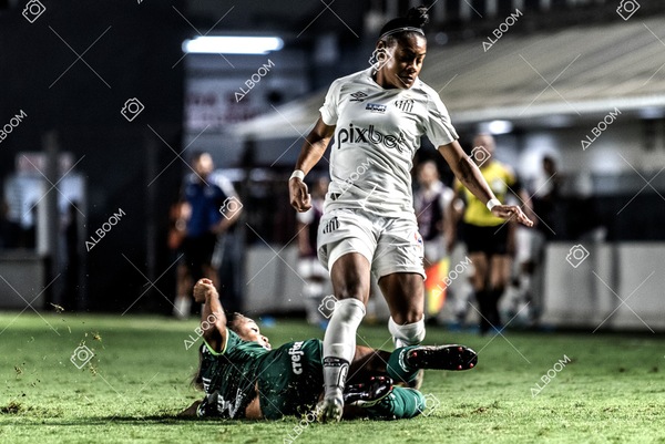 230327_Santos_1x1_Palmeiras)Brasileirão_foto Dennis Calçada 01 (701)-1.jpg