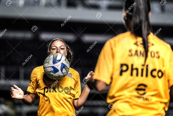 230327_Santos_1x1_Palmeiras)Brasileirão_foto Dennis Calçada 01 (58)-1.jpg