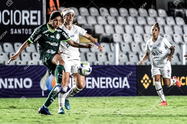 230327_Santos_1x1_Palmeiras)Brasileirão_foto Dennis Calçada 01 (696)-1.jpg