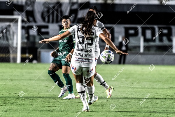 230327_Santos_1x1_Palmeiras)Brasileirão_foto Dennis Calçada 01 (226)-1.jpg