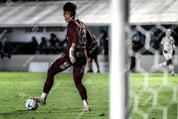 230327_Santos_1x1_Palmeiras)Brasileirão_foto Dennis Calçada 01 (287)-1.jpg