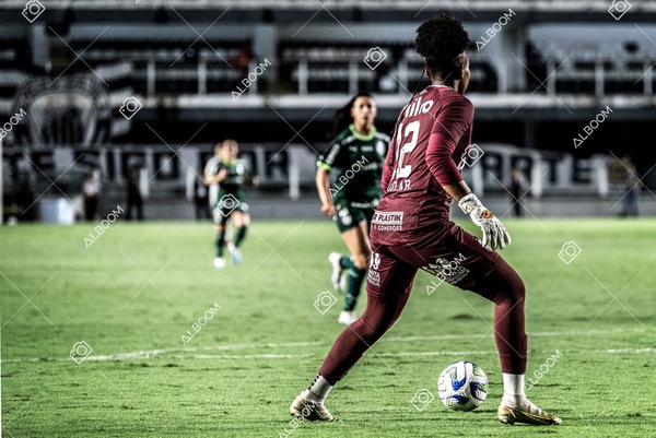 230327_Santos_1x1_Palmeiras)Brasileirão_foto Dennis Calçada 01 (437)-1.jpg