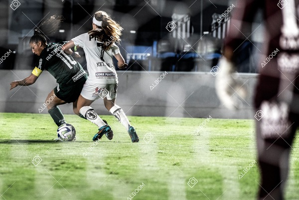 230327_Santos_1x1_Palmeiras)Brasileirão_foto Dennis Calçada 01 (257)-1.jpg