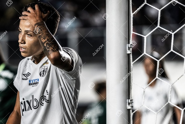 230327_Santos_1x1_Palmeiras)Brasileirão_foto Dennis Calçada 01 (270)-1.jpg