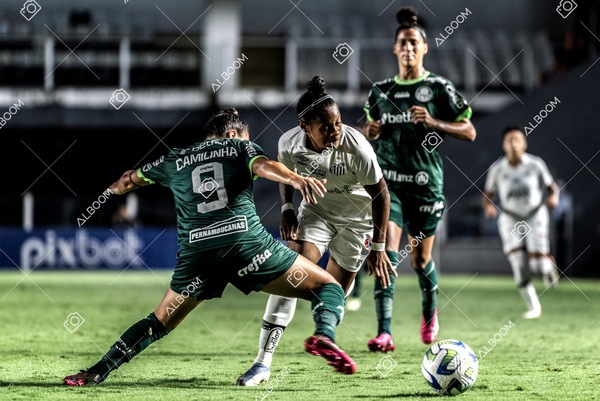 230327_Santos_1x1_Palmeiras)Brasileirão_foto Dennis Calçada 01 (657)-1.jpg