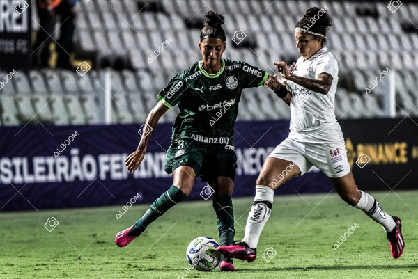 230327_Santos_1x1_Palmeiras)Brasileirão_foto Dennis Calçada 01 (359)-1.jpg