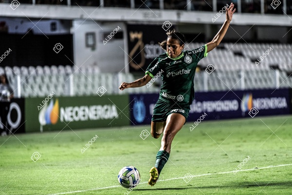 230327_Santos_1x1_Palmeiras)Brasileirão_foto Dennis Calçada 01 (247)-1.jpg