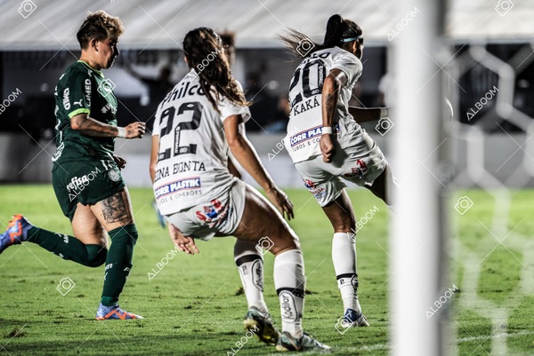 230327_Santos_1x1_Palmeiras)Brasileirão_foto Dennis Calçada 01 (481)-1.jpg
