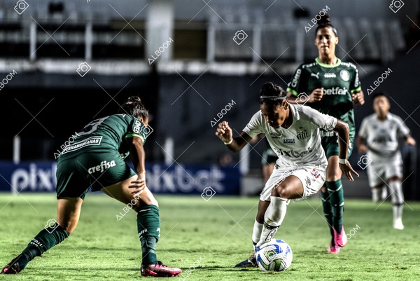 230327_Santos_1x1_Palmeiras)Brasileirão_foto Dennis Calçada 01 (655)-1.jpg