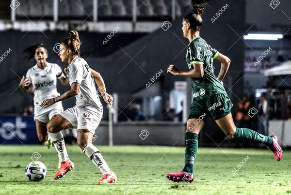 230327_Santos_1x1_Palmeiras)Brasileirão_foto Dennis Calçada 01 (707)-1.jpg