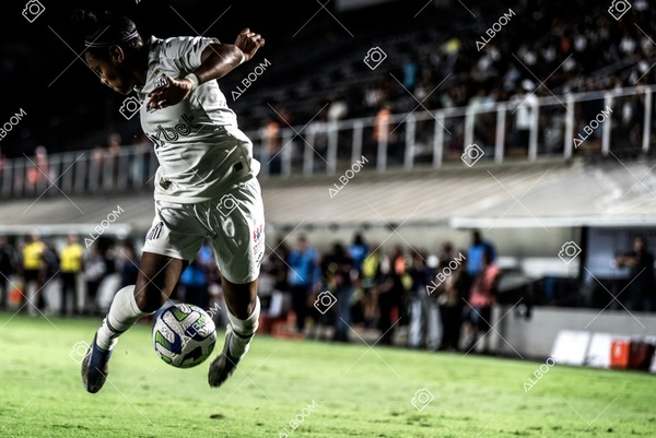 230327_Santos_1x1_Palmeiras)Brasileirão_foto Dennis Calçada 01 (733)-1.jpg
