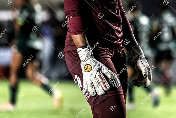 230327_Santos_1x1_Palmeiras)Brasileirão_foto Dennis Calçada 01 (436)-1.jpg