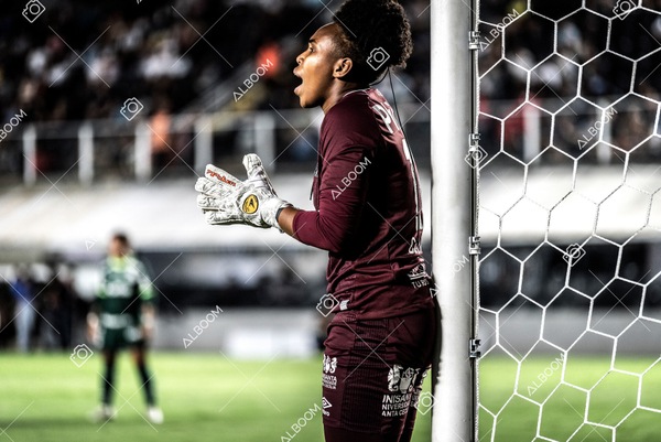 230327_Santos_1x1_Palmeiras)Brasileirão_foto Dennis Calçada 01 (305)-1.jpg