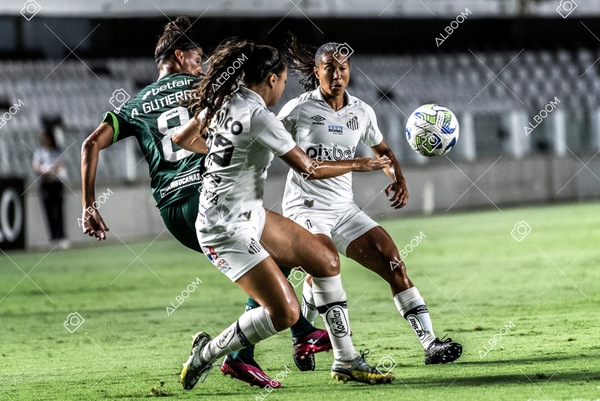 230327_Santos_1x1_Palmeiras)Brasileirão_foto Dennis Calçada 01 (290)-1.jpg