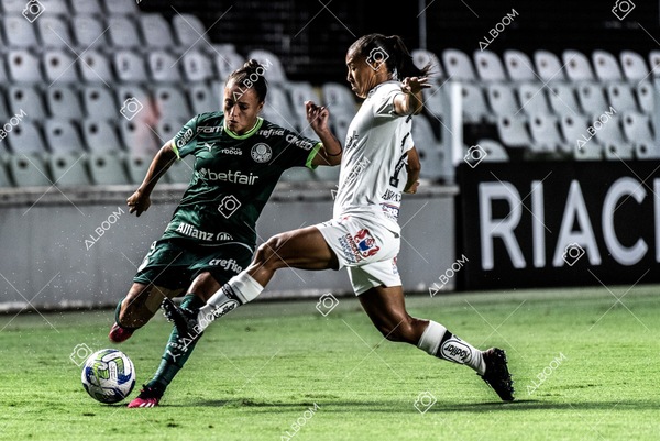 230327_Santos_1x1_Palmeiras)Brasileirão_foto Dennis Calçada 01 (266)-1.jpg