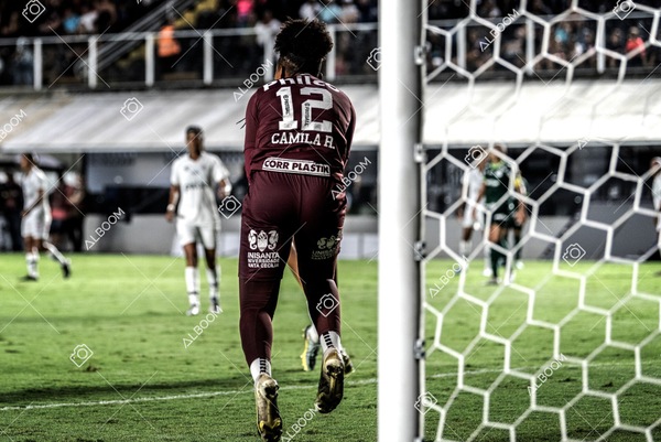 230327_Santos_1x1_Palmeiras)Brasileirão_foto Dennis Calçada 01 (486)-1.jpg
