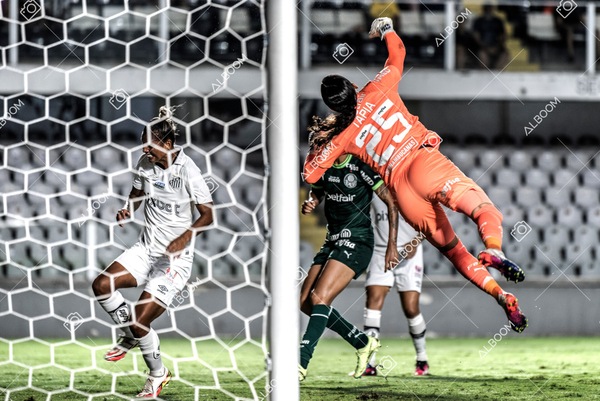 230327_Santos_1x1_Palmeiras)Brasileirão_foto Dennis Calçada 01 (671)-1.jpg
