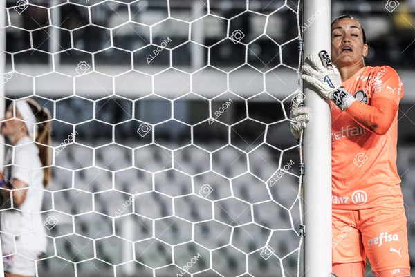 230327_Santos_1x1_Palmeiras)Brasileirão_foto Dennis Calçada 01 (622)-1.jpg