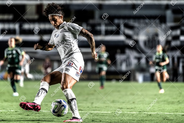 230327_Santos_1x1_Palmeiras)Brasileirão_foto Dennis Calçada 01 (598)-1.jpg