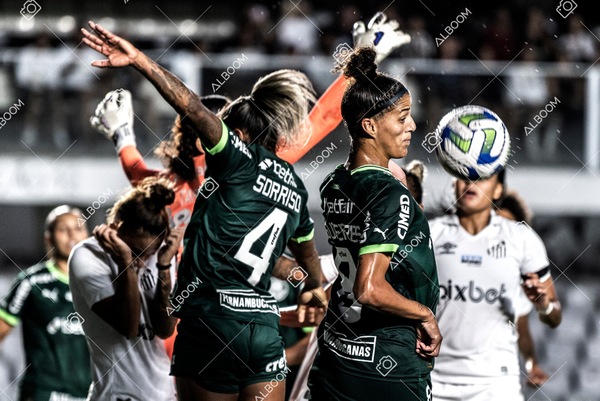 230327_Santos_1x1_Palmeiras)Brasileirão_foto Dennis Calçada 01 (684)-1.jpg