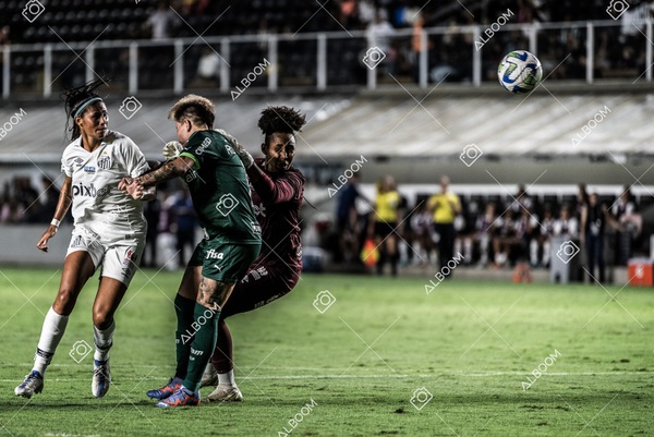 230327_Santos_1x1_Palmeiras)Brasileirão_foto Dennis Calçada 01 (478)-1.jpg