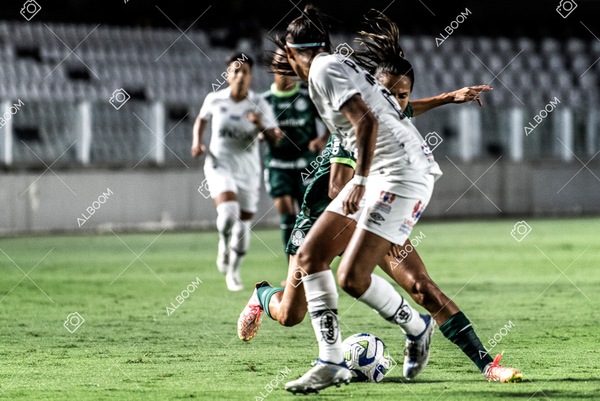 230327_Santos_1x1_Palmeiras)Brasileirão_foto Dennis Calçada 01 (245)-1.jpg