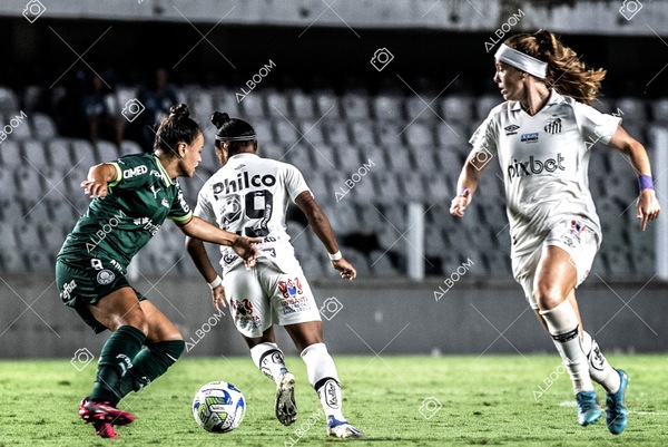 230327_Santos_1x1_Palmeiras)Brasileirão_foto Dennis Calçada 01 (583)-1.jpg