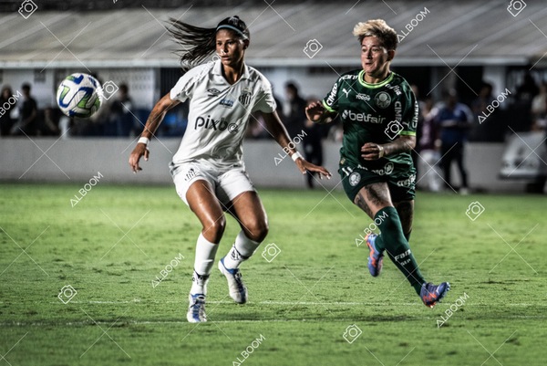 230327_Santos_1x1_Palmeiras)Brasileirão_foto Dennis Calçada 01 (475)-1.jpg